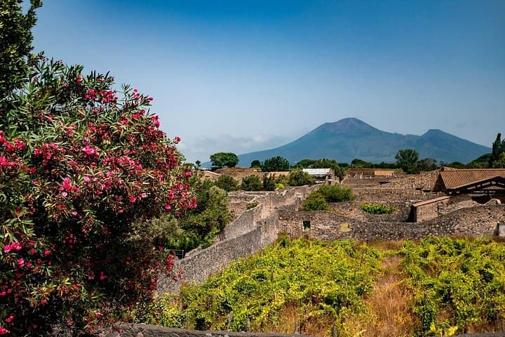 Pompeii, Vesuvius Hike and Wine Tasting with Lunch from Sorrento