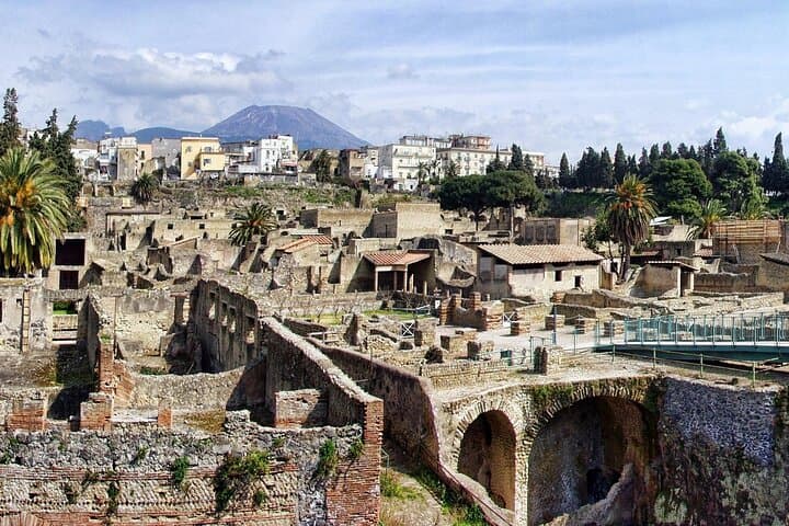 Pompeii, Herculaneum, Vesuvius Wine Tasting and Lunch from Naples