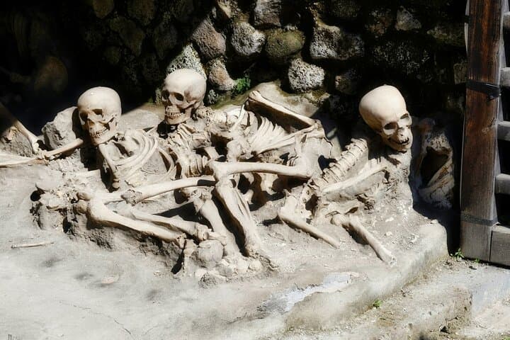 Pompeii, Herculaneum, Vesuvius Wine Tasting and Lunch from Naples