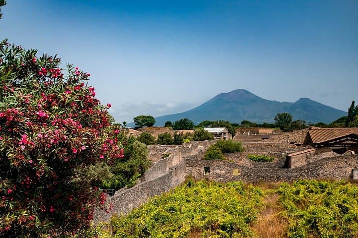 Sorrento: Pompeii, Herculaneum, Vesuvius Wine Tasting and Lunch