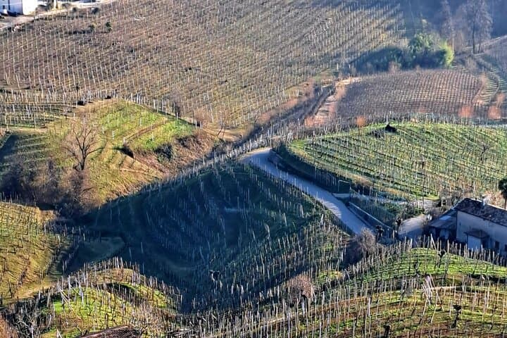 Valdobbiadene PROSECCO Private Tour and Taste with Sommelier