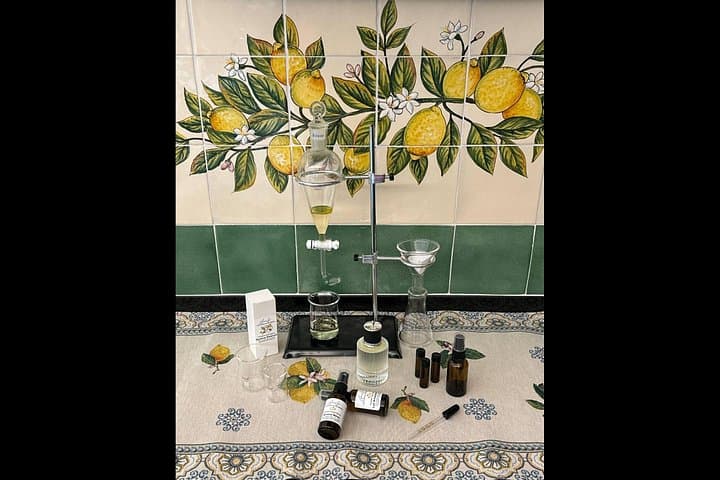 Amalfi: Organic Lemon Tour + Limoncello + Honey + Wine Tastings
