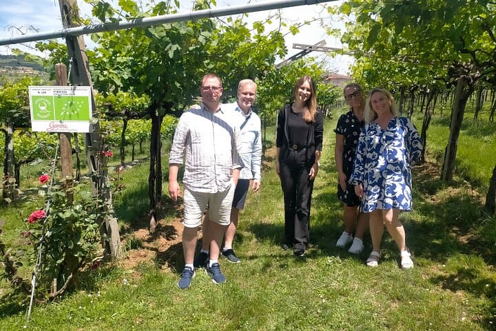 Amarone & Soave Wine Tour - Visit Verona, from Venice, Treviso