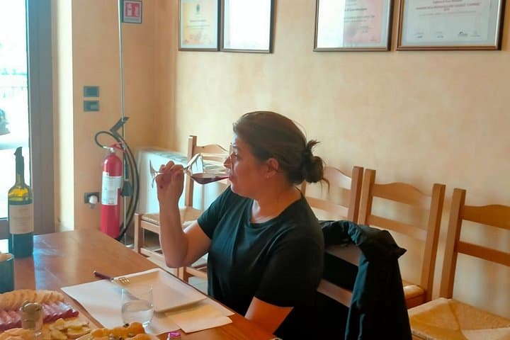 Amarone-Valpolicella tour. Visit Verona from Venice, Treviso