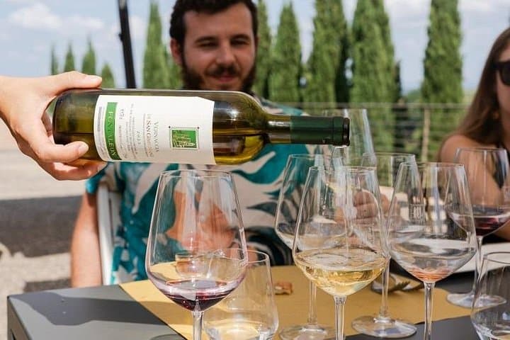 Tuscany Winery Hopping Tour with Lunch & Tastings at 2 Vineyards