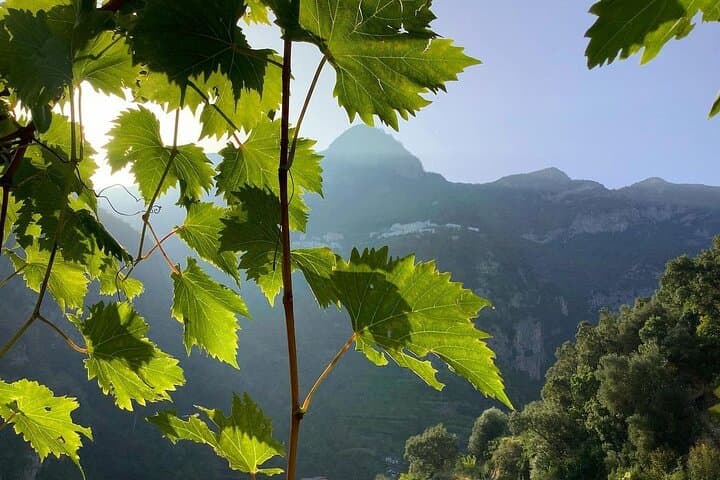 Amalfi Limoncello and Wine Tasting with Sea and Hill Views