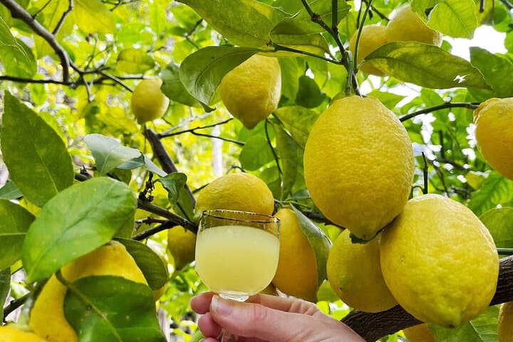 Amalfi Limoncello and Wine Tasting with Sea and Hill Views