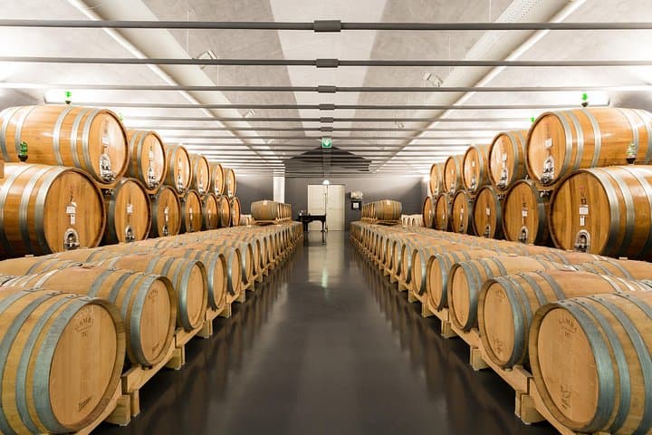 Wine lovers experience in Montepulciano: full day