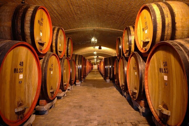 Wine lovers experience in Montepulciano: half day