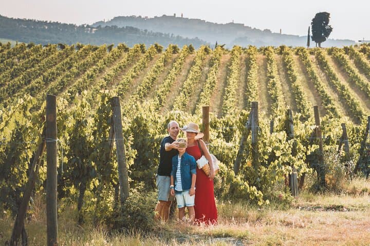 Wine lovers experience in Montepulciano: half day