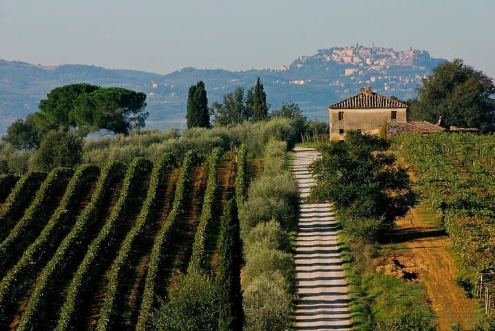 Wine lovers experience in Montepulciano: half day
