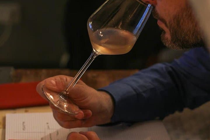 Frascati Wine Tasting Experience with Food Pairing
