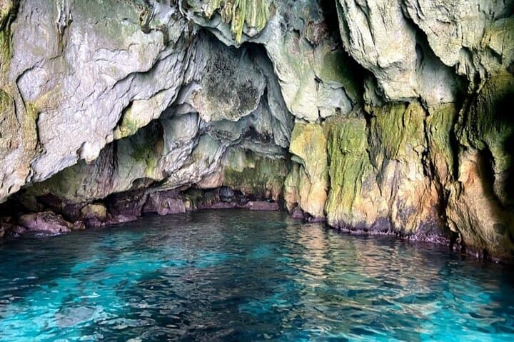 Syracuse Ortigia Island Sea Caves and Plemmirio Boat Tour