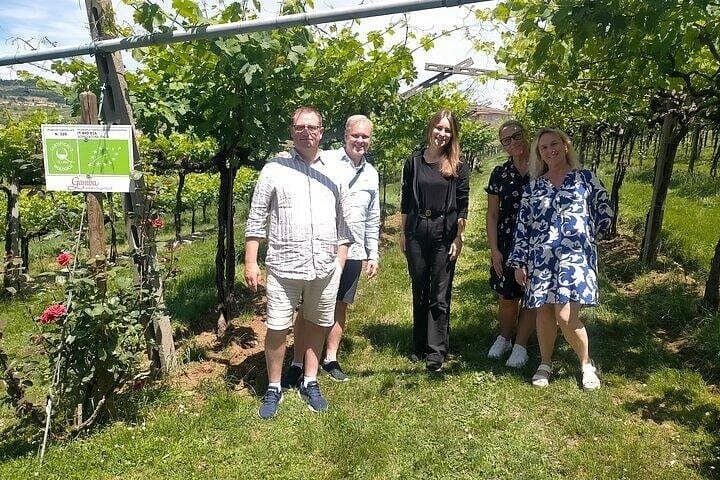 Amarone-Valpolicella tour. Visit Verona from Venice, Treviso