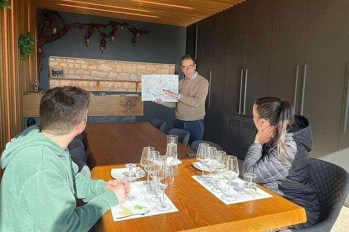 Amarone-Valpolicella tour. Visit Verona from Venice, Treviso
