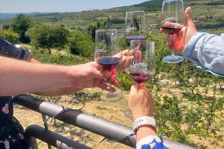 Amarone-Valpolicella tour. Visit Verona from Venice, Treviso