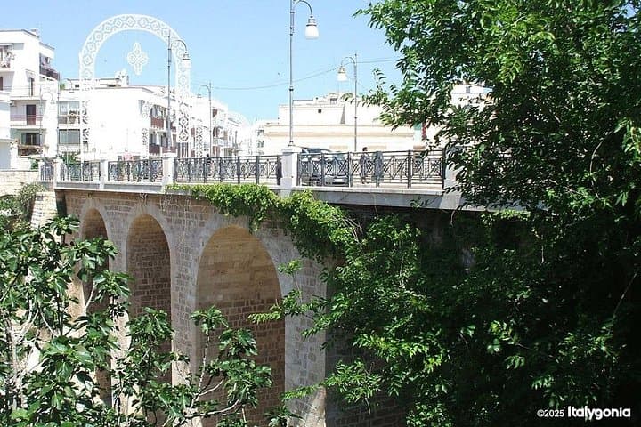 Polignano a Mare: Private Walking Tour and Cliff Views