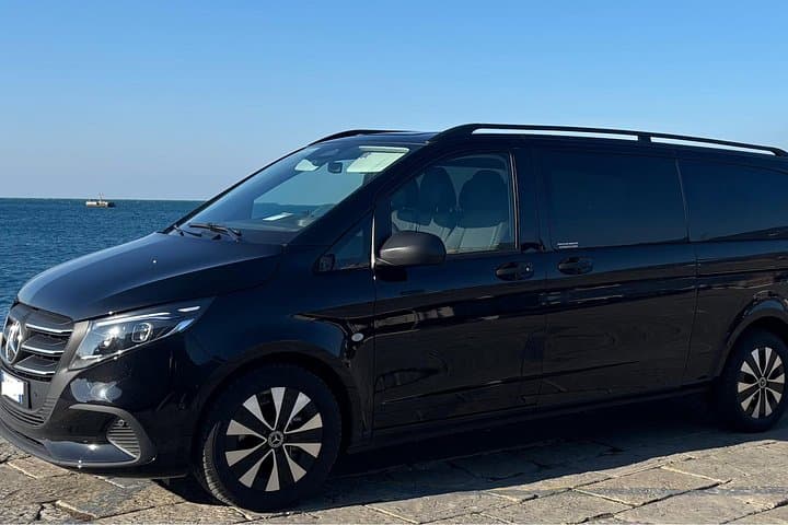 Transfer private shuttle Venice to Ravenna Cruise port terminal