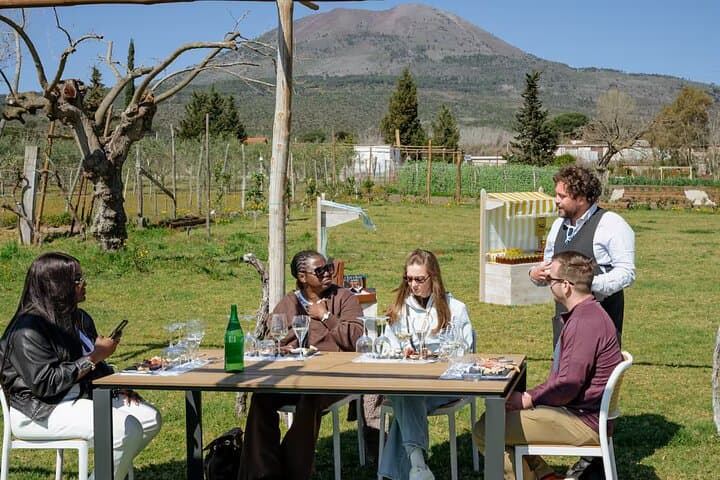 Wine Tasting on Mt. Vesuvius & Lunch