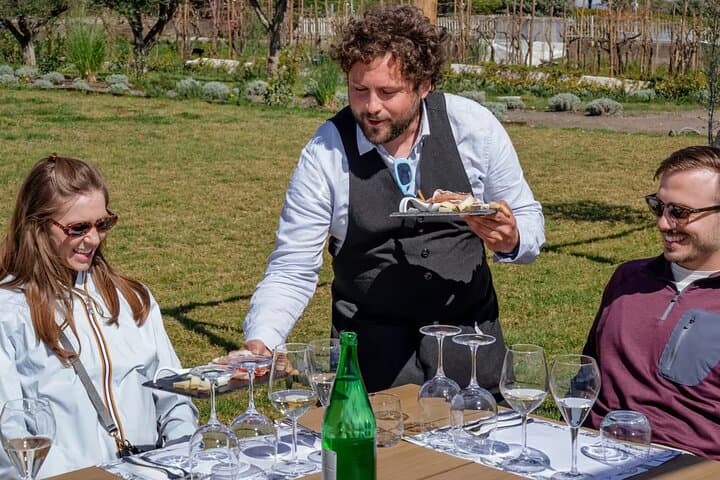 Wine Tasting on Mt. Vesuvius & Lunch