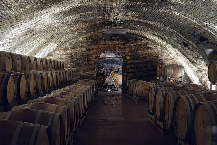 From Milan: Barolo Vineyards & UNESCO Wine Cellar Experience