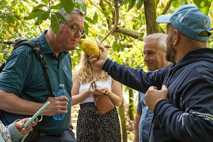 Sorrento Tour: Lemon Garden, Mozzarella show with Ape Ride
