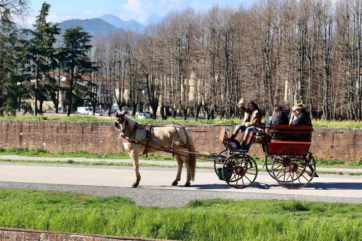 Lucca Royal Experience – Grand Tour Deluxe by Carriage (2 Hours)
