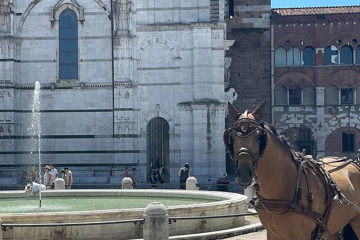 Lucca Classic – Carriage Tour in the Old Town