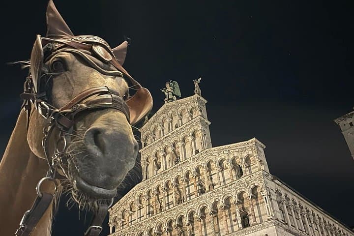 Lucca Classic – Carriage Tour in the Old Town