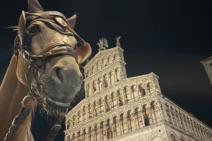 Lucca Royal Experience – Grand Tour Deluxe by Carriage (2 Hours)