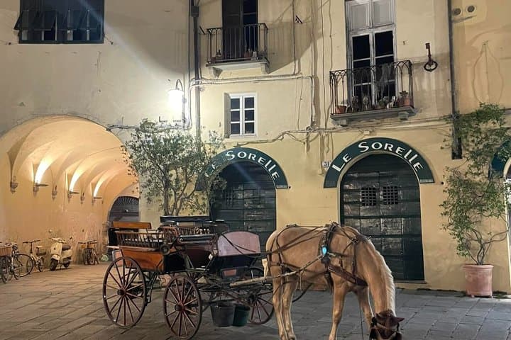 Lucca Royal Experience – Grand Tour Deluxe by Carriage (2 Hours)