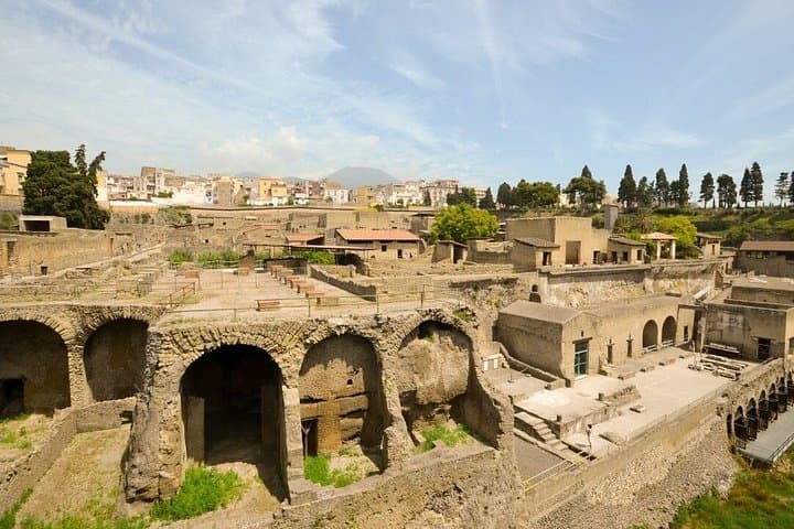 Herculaneum: skip the line entry ticket (art) + audioguide & map