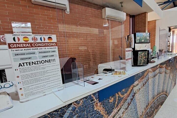 Herculaneum: skip the line entry ticket (art) + audioguide & map