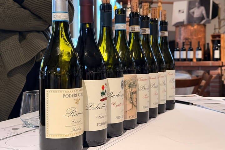 Discover Langhe wines with private tour and expert sommelier