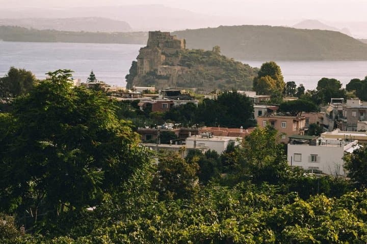 Ischia Wine Tasting Experience, Vineyards Tour and Hotel Pickup