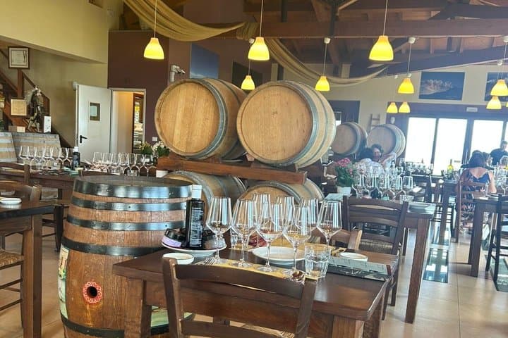 Etna Tour Silvestri Craters Tasting 4 Wines Lunch in the Cellar