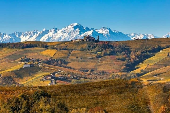 From Milan: Barolo Vineyards & UNESCO Wine Cellar Experience