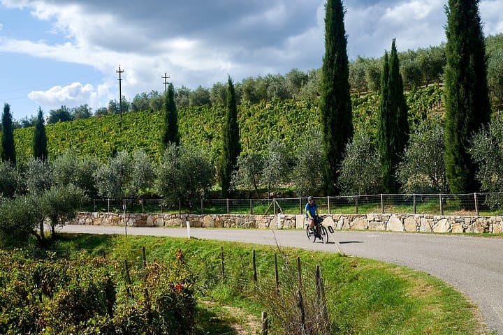 ride along cypress trees and vineyards