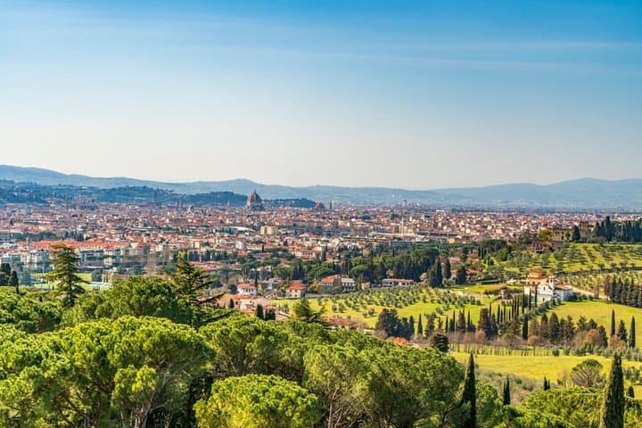 Fiesole and Florence Hills by Vespa with Olive Oil Tasting