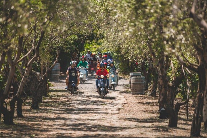 Fiesole and Florence Hills by Vespa with Olive Oil Tasting