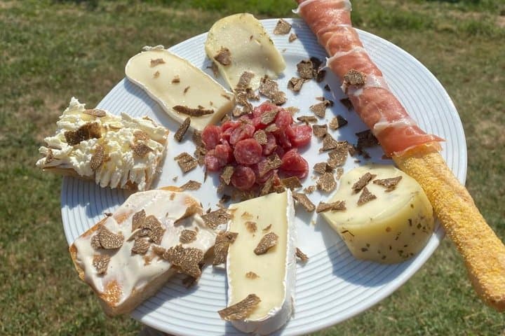 Truffle Hunting with Wine Tasting in Piedmont