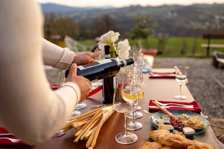 Truffle Hunting with Wine Tasting in Piedmont