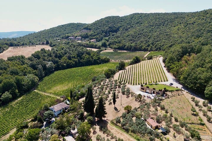 Montepulciano: A picnic with wine, surrounded by vineyards