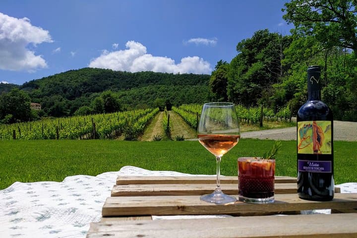 Montepulciano: A picnic with wine, surrounded by vineyards
