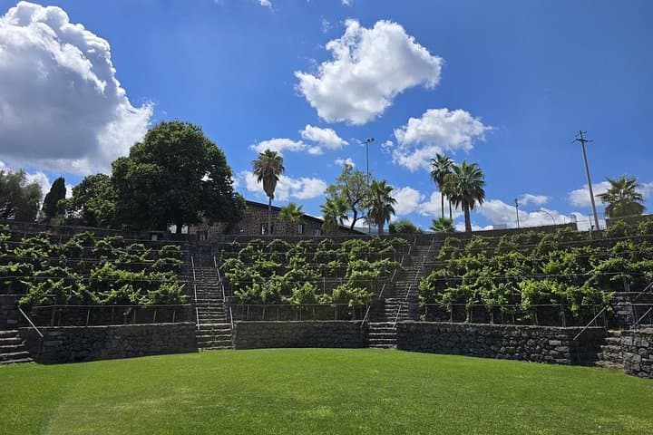 Taormina and Mount Etna Wine Tasting Experience from Catania