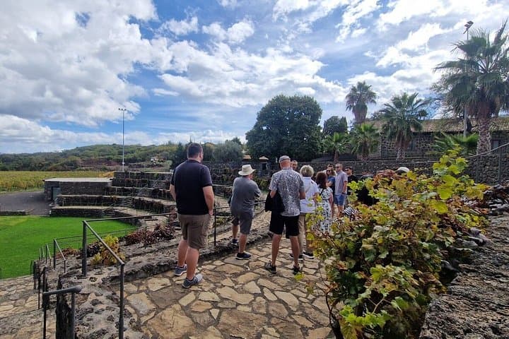 Taormina and Mount Etna Wine Tasting Experience from Catania