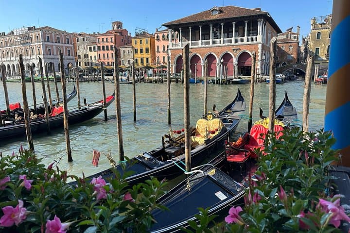 Venice Unveiled: A Stress-Free Small-Group Walking Tour