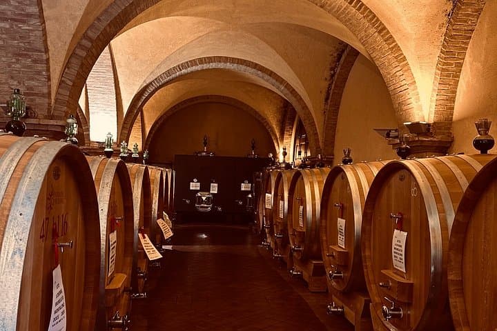 Brunello di Montalcino Wine Tour with 2 Wineries & Lunch at Farm