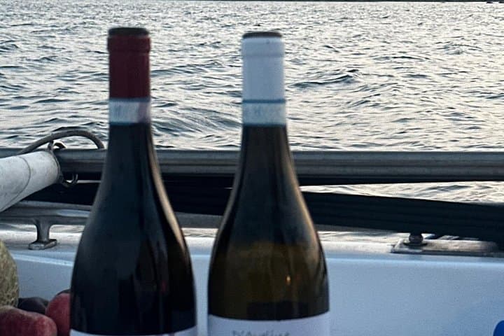Wine and Waves Sunset Boat Tour in Syracuse with Sicily Wines