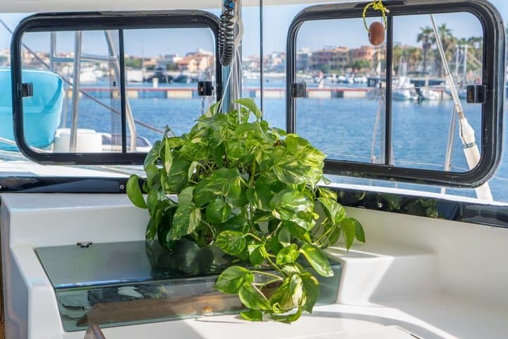 Monomaran tour 16 mt with boarding from Maddalena and Palau